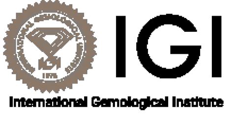 www.igi.org.